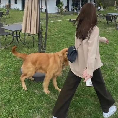猎艳狂